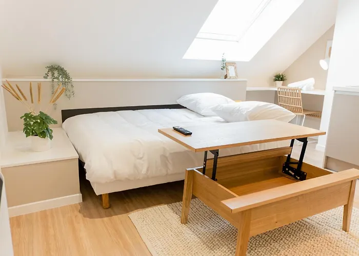 Apartamento Le Zen - Superbe - Centre - Tram - Gare Le Mans